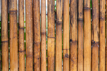 Obraz premium Yellow bamboo fence background material