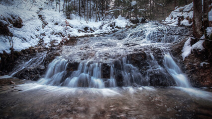 alpin winter waterfall with icicles fir trees and snowy cover