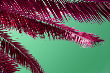 Colorful palm branches, palm tree leaves against the sky, juicy tropical background	