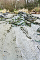 Park Shoreline Stream Landscape 3