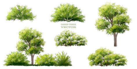 set of trees, Vector watercolor of green grass side view isolated on white background for landscape and architecture drawing, elements for environment and garden, painting botanical for section
