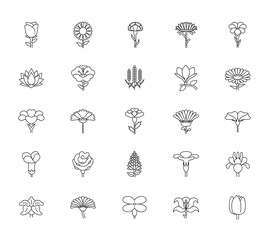 Collection of different flowers icon set. Premium quality objects. Vector illustration.