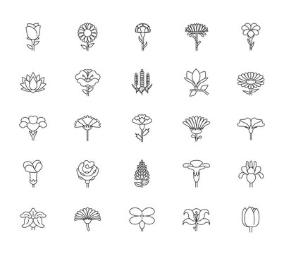 Collection of different flowers icon set. Premium quality objects. Vector illustration.