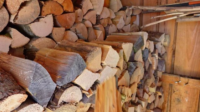 Filmmaterial einer eines Holzstapels und einer Frau die Holzscheide aufschichtet beim Holzarbeiten und Holzschneiden mit einer Kreissäge, Deutschland