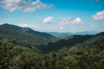 Fototapeta na wymiar Mountain valley and blue sky in tropical rainforest