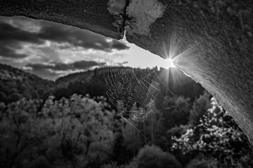 Black and white spider cobweb against the Sun, light diffraction, mountain in the background,...