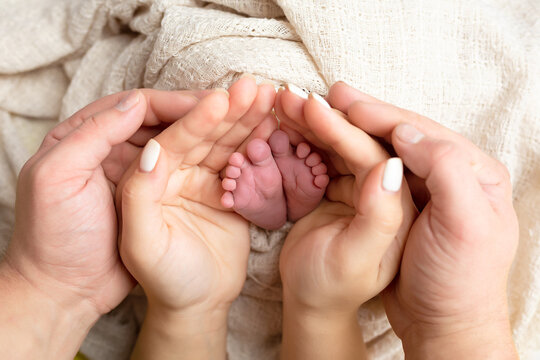 Baby feet in mother's hands. Legs of a tiny newborn in the arms close-up. Family and child. Happy family concept. Beautiful conceptual image of motherhood
