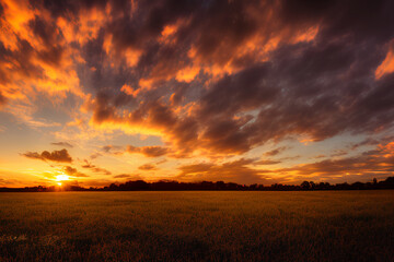 Naklejka na ściany i meble Golden hour beautiful cloudy sky, sunset in the field