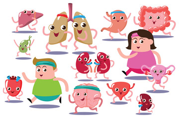 cute vector ,illustration flat cartoon character man, woman and organ uterus, brain, heart, intestine, lung, gallbladder, liver, stomach, kidney, bladder, urinary exercise running together.