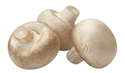 Delicious champignon mushrooms cut out