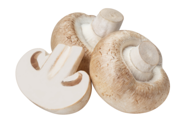 Delicious champignon mushrooms cut out