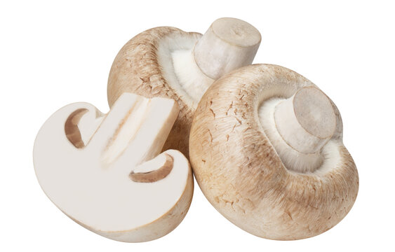 Delicious champignon mushrooms cut out