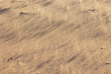 Textura de arena en la playa al amanecer