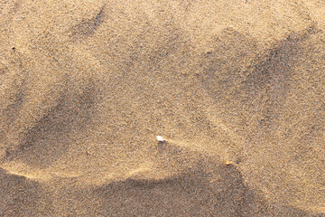Textura de arena en la playa al amanecer