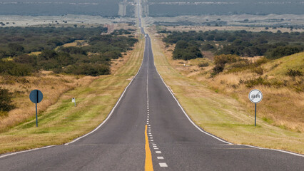 Flowered field in the Pampas Plain, La Pampa Province, Patagonia, Argentina.