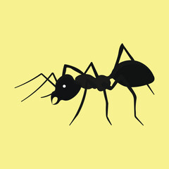 Ant
