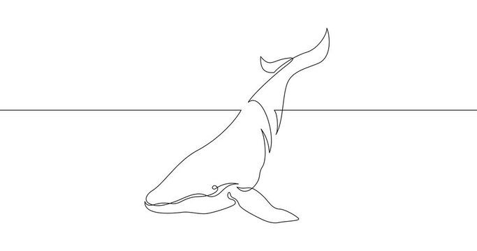 Animation of an image drawn with a continuous line. Whale.