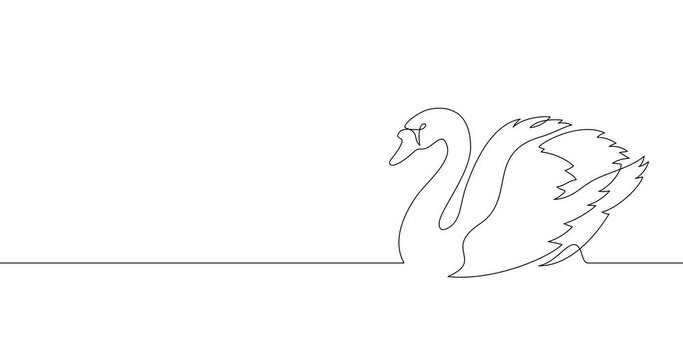 Animation of an image drawn with a continuous line. Swan.