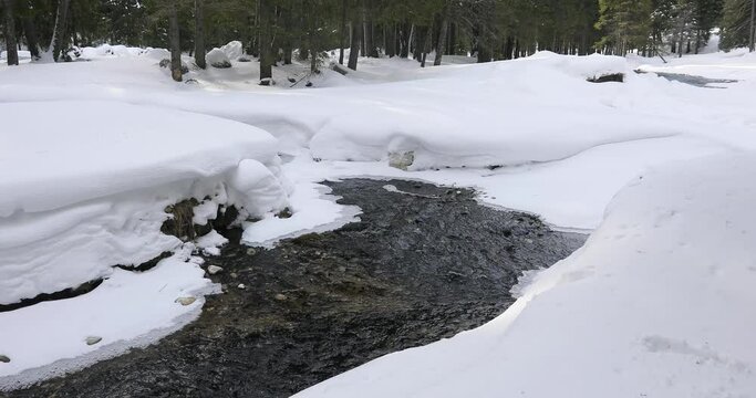 Beautiful mountain river covered with snow during a winter morning in the forest. Nature detail landscape and environment movie. 4K video 