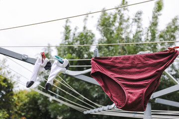 Wet clean underwear hanging out to dry on clothes line in Australian backyard on sunny spring day