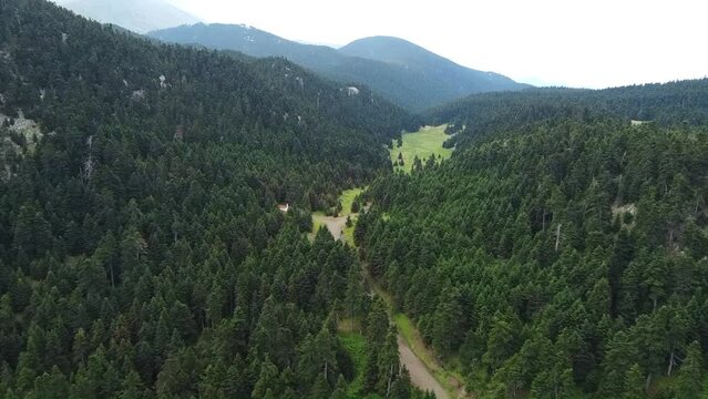 Wonderful drone flight over wild forest valley in the greek mountains and forest at Parnassos mountain in northern greece.