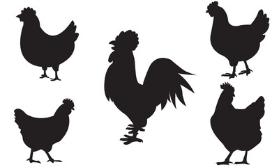 Silhouettes of hen chicken. vector Illustration
