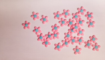 flowers isolated on white background. creative concept of spring and creativity.	