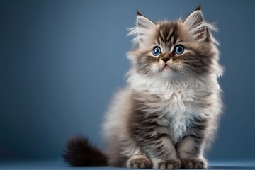 Adorable little cat on colorful gradient background. Generative AI