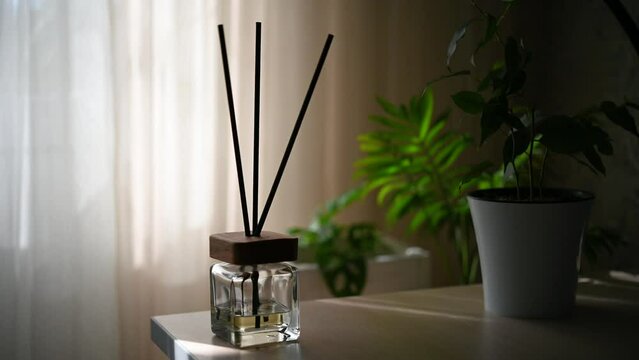 Flavored diffuser for interior decor. A stylish glass bottle with perfumed liquid, sticks and a wooden lid. Minimalism in the home style video concept.	
