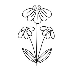 decorative flower doodle