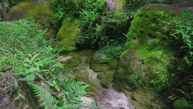 Source of the Tiet&ecirc; River. Salesopolis. Preservation of Springs.