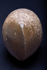 Haches néolithique en pierre