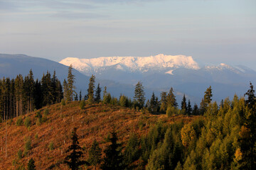 Calimani mountains, Romania, covered by snow on the middle of September during of roaring red stag season.