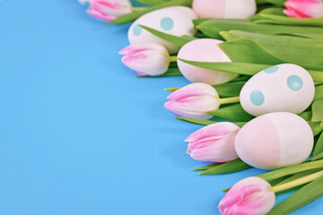 Obraz na płótnie Canvas White tulip spring flowers with pink tips and easter eggs on side of blue background with copy space