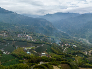 Drone fly over the tea field on mountain in Nantou of Taiwan