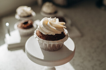 Chocolate muffins. Homemade chocolate muffins. The process of making homemade chocolate cupcakes with whipped cream.