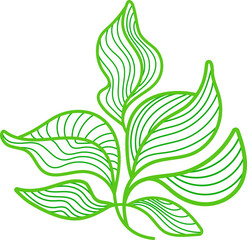 Green leaves symbol. Vector art line foliage in simple design. Artdeco pattern in circle. Tea raw plant, aroma matcha drink 