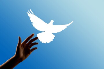 Hands holding a illustration pigeon. Peace Day concept.