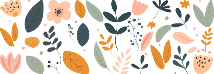 set of floral elements isolated, vector