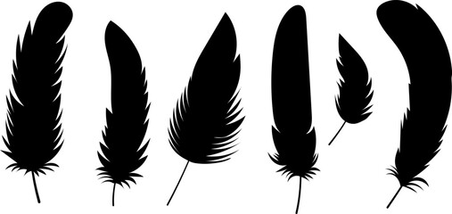 bird feathers silhouette isolated, vector