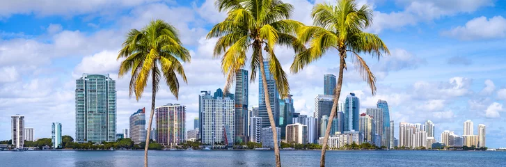 Badkamer foto achterwand the skyline of miami with palm trees, florida © frank peters