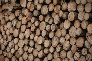 Stack of sawn timber firewood