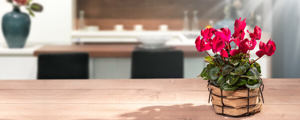 cyclamen flower pot on wooden table on a blurred kitchen background with copy space, interior...