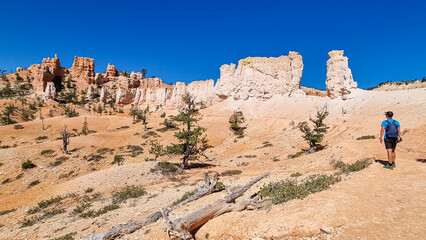 Fototapeta premium Panoramic Fairyland hiking trail with scenic view on massive hoodoo sandstone rock formation called Chinese Wall in Bryce Canyon National Park, Utah, USA. Unique natural landmark in barren landscape