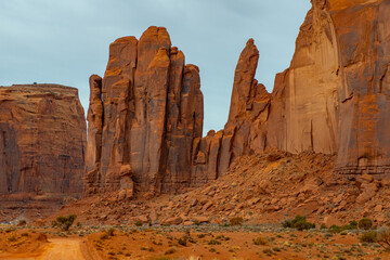 Fototapeta premium Dead Tree in Monument Valley, petrified