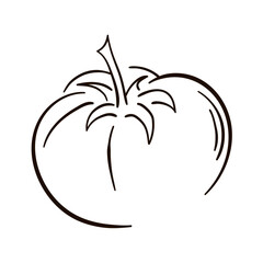Tomato line art isolated on white background. Vector tomato line art.