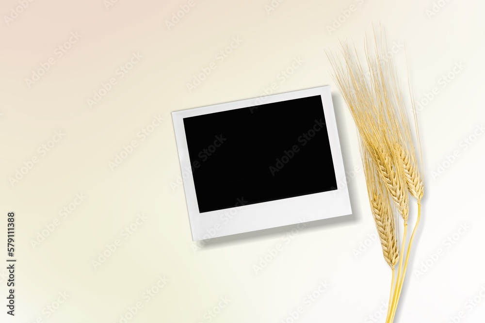 Poster Mockup empty photo frame with spikelet with grains.