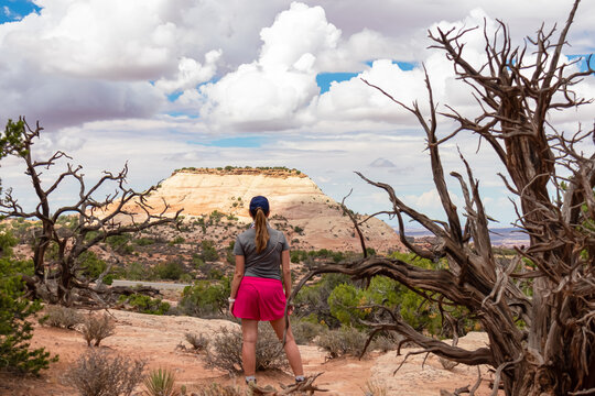 Woman Next To Old Dry Juniper Tree With Scenic View Of Sandstone Summit Aztec Butte In Island In The Sky District Of Canyonlands National Park, San Juan County, Utah, USA. Resembles Pyramid Of The Sun