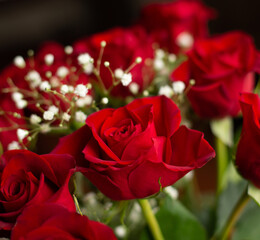 bouquet of red roses in a vase