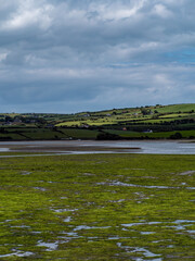 Open seabed after low tide, swamp area. Green hilly landscape. White clouds, sky. The coast of County Cork. Irish landscape